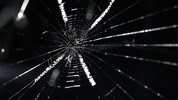 Ad:  thumbs_b_c_bda0e5d81aaaf9ace3a3d01079f9a5f3.jpg
Gsterim: 561
Boyut:  61.0 KB