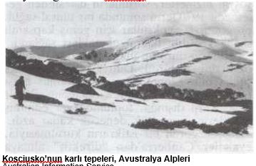 Ad:  avustralya9.JPG
Gsterim: 355
Boyut:  24.0 KB