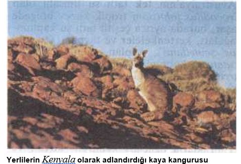 Ad:  avustralya4.JPG
Gsterim: 724
Boyut:  36.9 KB