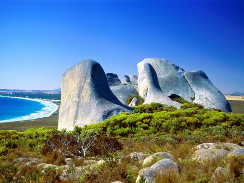 Ad:  avustralya18.JPG
Gsterim: 820
Boyut:  41.4 KB