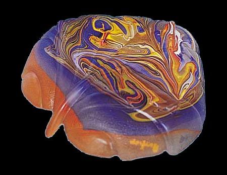 Ad:  ebyazgan1.jpg
Gsterim: 951
Boyut:  30.4 KB