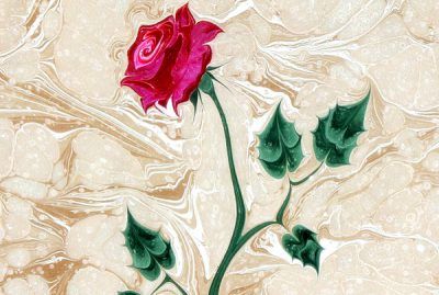 Al�nt�daki Ek 65835