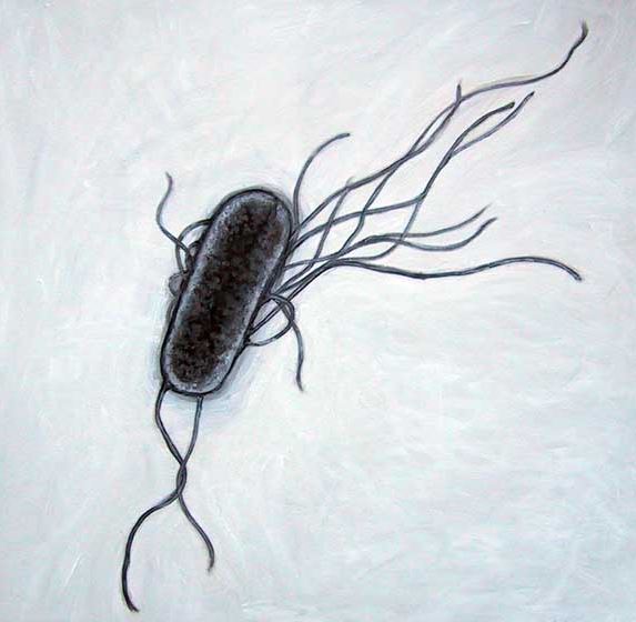 Ad:  e.coki.JPG
Gsterim: 615
Boyut:  42.3 KB