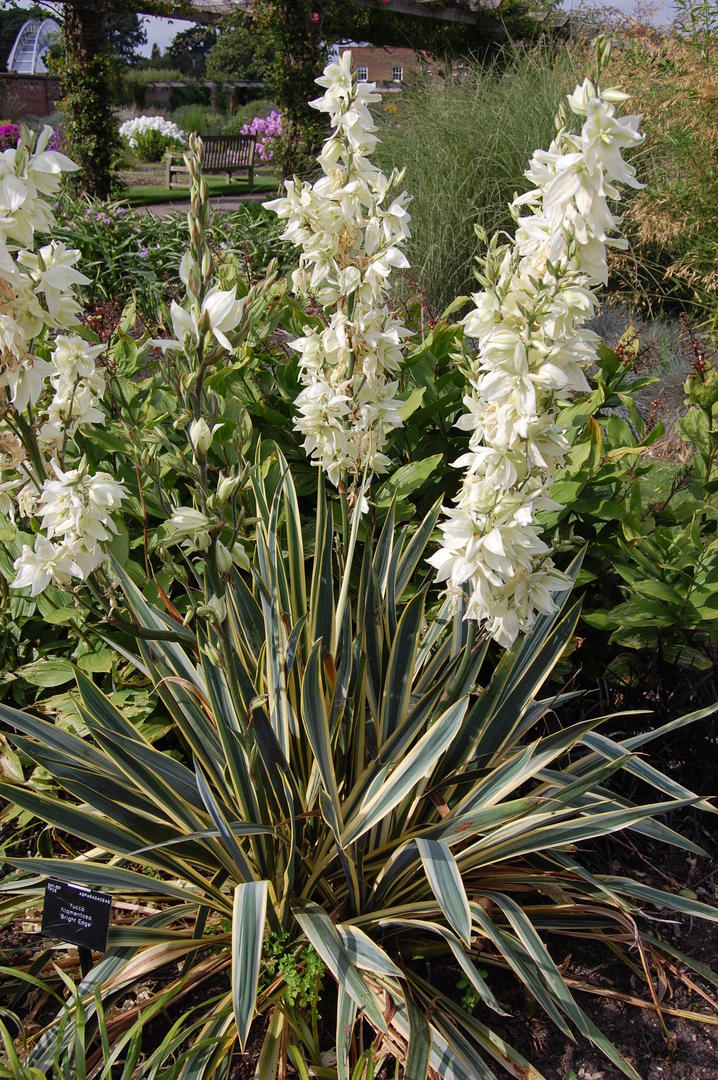 Ad:  e96a7c6e3d1908e86b508969e2074a13.jpg
Gsterim: 644
Boyut:  239.8 KB