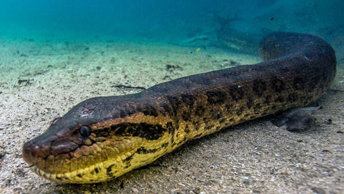 Ad: 56256727f018fb45587d8155.jpg
Gösterim: 1168
Boyut: 61.8 KB