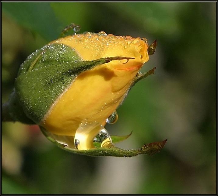 Ad:  apr182005_040b.jpg
Gsterim: 349
Boyut:  50.0 KB