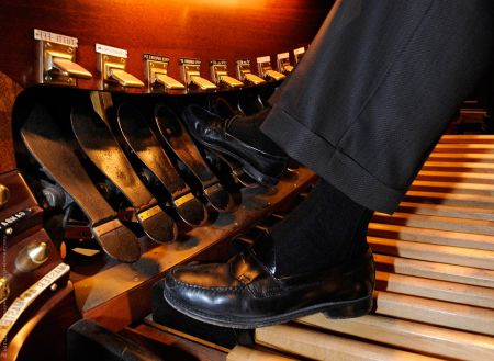 Ad: org1.jpg
Gösterim: 1107
Boyut: 47.4 KB