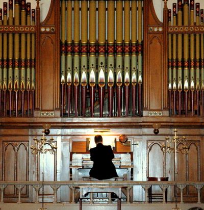 Ad: org2.jpg
Gösterim: 2051
Boyut: 61.4 KB