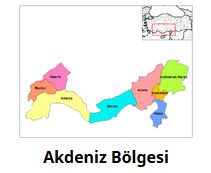 Alıntıdaki Ek 66025 Alıntıdaki Ek 66025