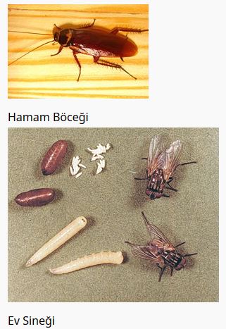 Ad:  baka1.JPG
Gsterim: 5029
Boyut:  39.7 KB