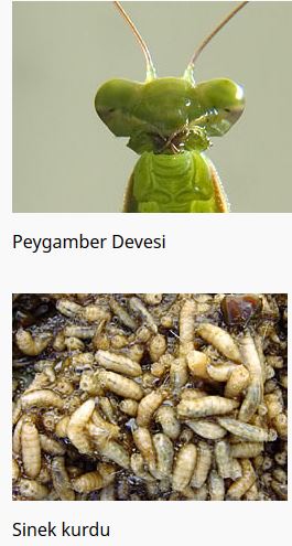 Ad:  baka2.JPG
Gsterim: 3825
Boyut:  35.6 KB