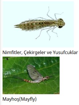 Ad:  baka3.JPG
Gsterim: 3632
Boyut:  23.2 KB