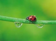 Ad:  uur6.JPG
Gsterim: 2805
Boyut:  10.7 KB