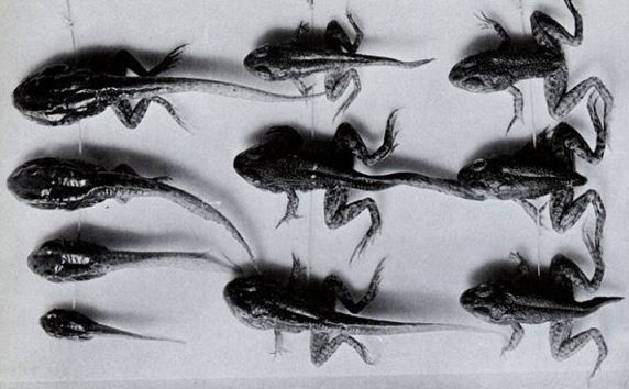 Ad:  kurba.JPG
Gsterim: 3452
Boyut:  46.3 KB