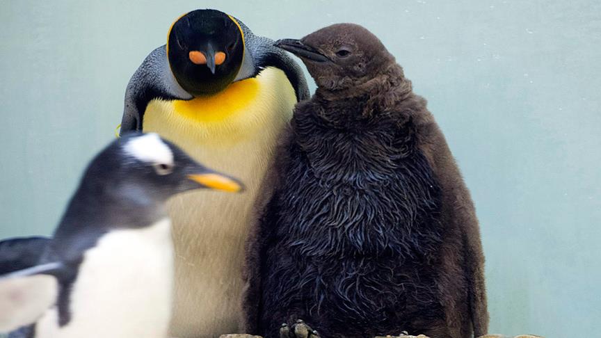 Ad:  thumbs_b_c_f0fed34a97d8bf9f2262720e247f90d2.jpg
Gsterim: 425
Boyut:  49.5 KB