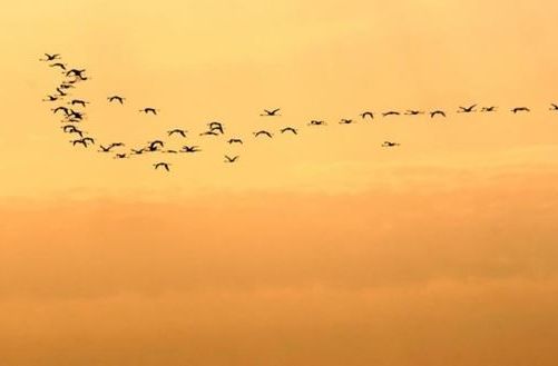 Ad:  g1.JPG
Gsterim: 932
Boyut:  16.5 KB