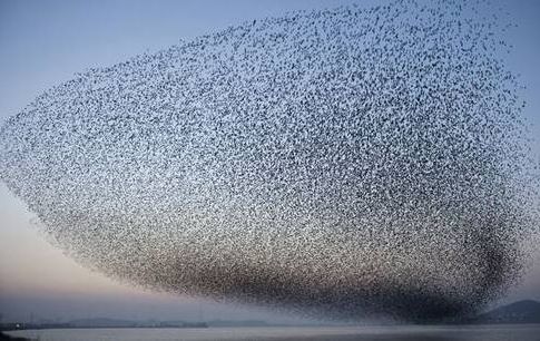 Ad:  g2.JPG
Gsterim: 729
Boyut:  54.3 KB