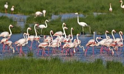 Ad:  park2.JPG
Gsterim: 908
Boyut:  35.8 KB