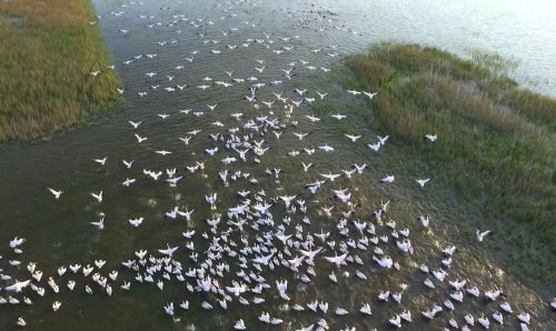 Ad:  park1.JPG
Gsterim: 993
Boyut:  46.2 KB