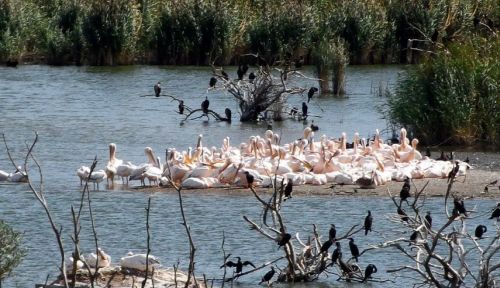 Ad:  park4.JPG
Gsterim: 1310
Boyut:  51.3 KB