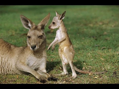 Ad: hqdefault.jpg
Gösterim: 1545
Boyut: 42.3 KB