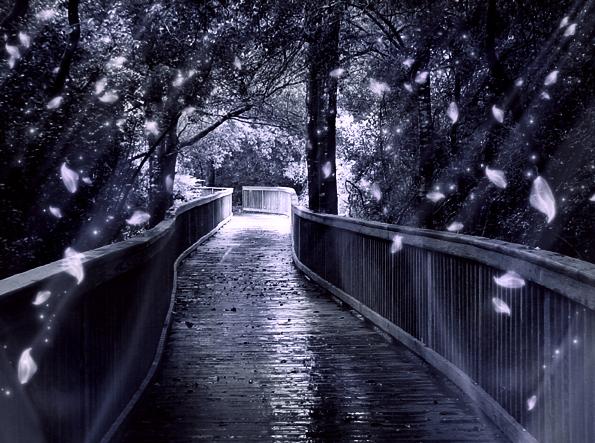 Ad:  Forest_of_the_Night_Elves_by_setlog.jpg
Gsterim: 236
Boyut:  66.0 KB