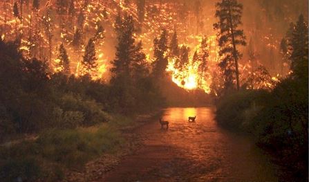 Ad:  22.JPG
Gsterim: 1776
Boyut:  31.4 KB