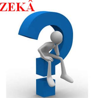 Ad: zeka.JPG
Gösterim: 282
Boyut: 17.8 KB