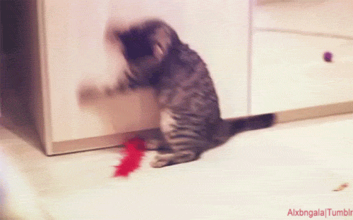 Ad:  b6.gif
Gsterim: 1027
Boyut:  925.1 KB