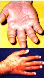 Ad:  hulusibehet4.JPG
Gsterim: 587
Boyut:  18.8 KB