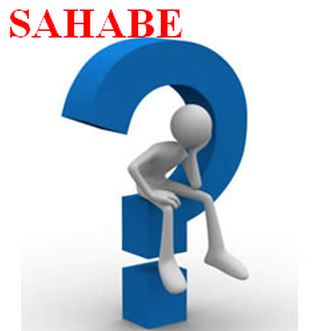 Ad:  sahabe.JPG
Gsterim: 237
Boyut:  18.4 KB