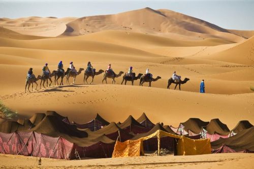 Ad:  sahra2.jpg
Gsterim: 1454
Boyut:  29.8 KB