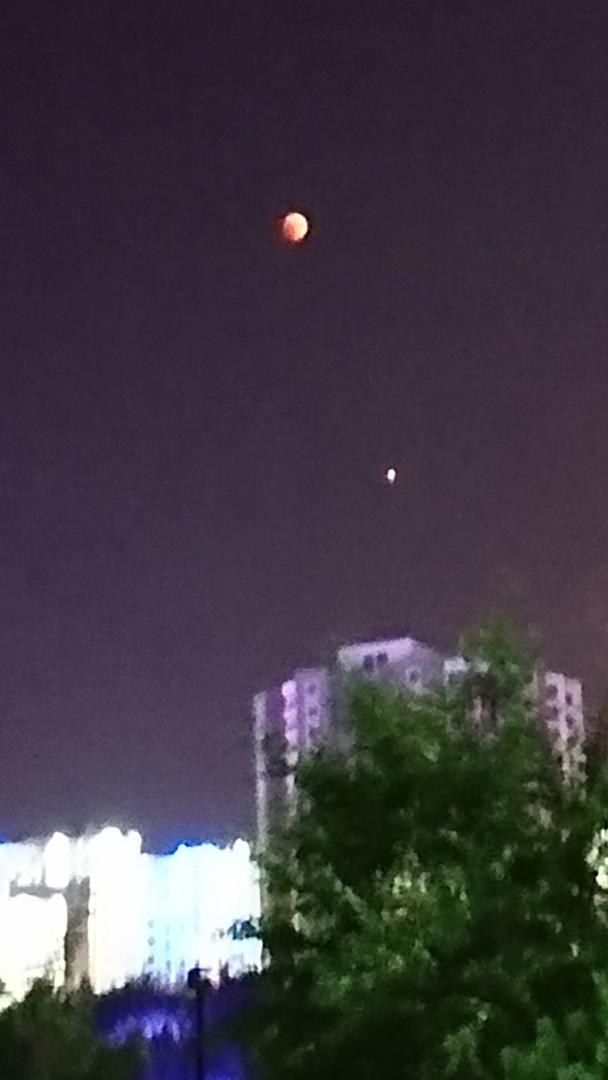 Ad:  DSC_0133.jpg
Gsterim: 1475
Boyut:  38.5 KB