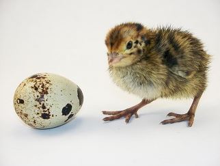 Ad:  bldrcn.JPG
Gsterim: 872
Boyut:  18.5 KB