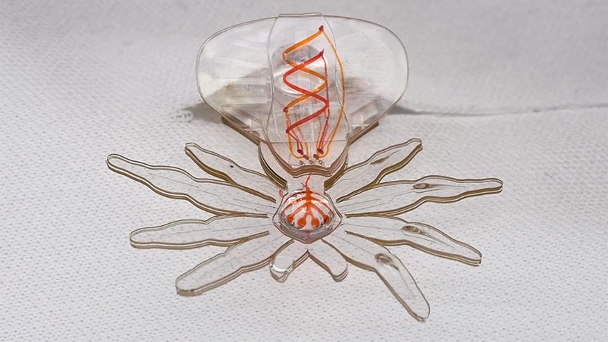 Ad:  thumbs_b_c_80f37424cbac21791928ff4fa4ad6ce1.jpg
Gsterim: 397
Boyut:  62.3 KB