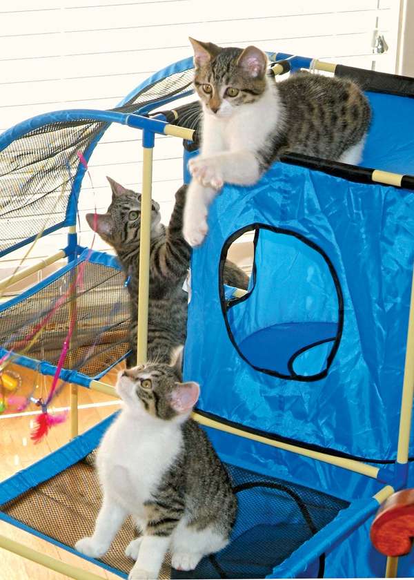 Ad:  158245-050-9461E940.jpg
Gsterim: 381
Boyut:  71.3 KB