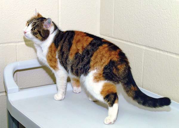 Ad:  158249-050-FED50589.jpg
Gsterim: 485
Boyut:  25.8 KB