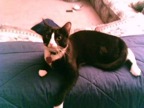 Ad:  Tsunami.jpg
Gsterim: 349
Boyut:  18.9 KB