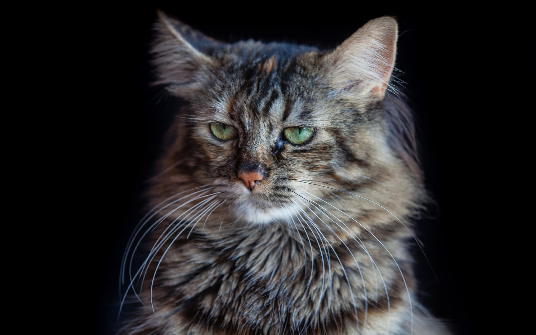 Ad:  10_gettyimages_687165958_resized.jpg
Gsterim: 507
Boyut:  176.9 KB