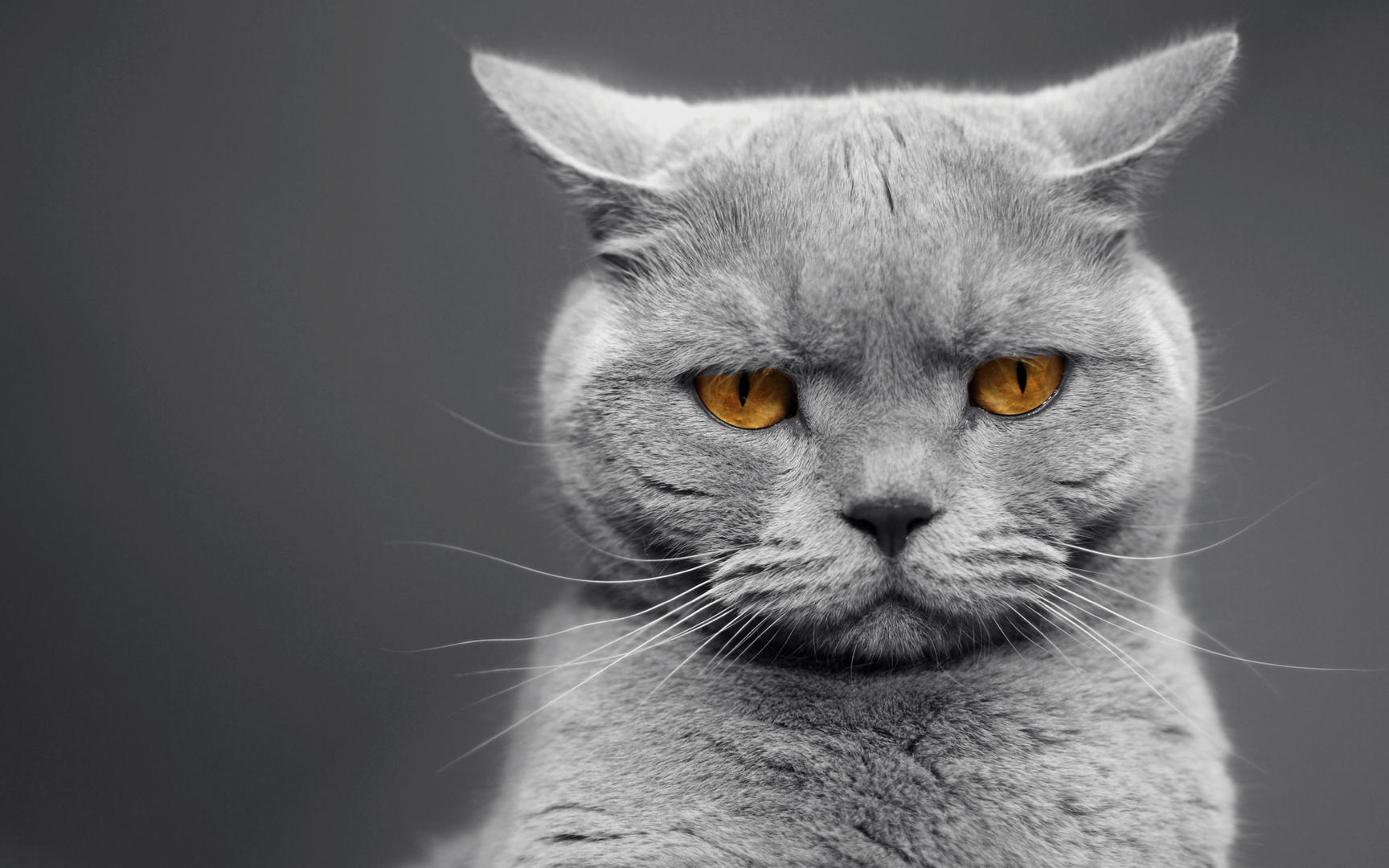 Ad:  04_gettyimages_113912562_resized.jpg
Gsterim: 13592
Boyut:  175.7 KB