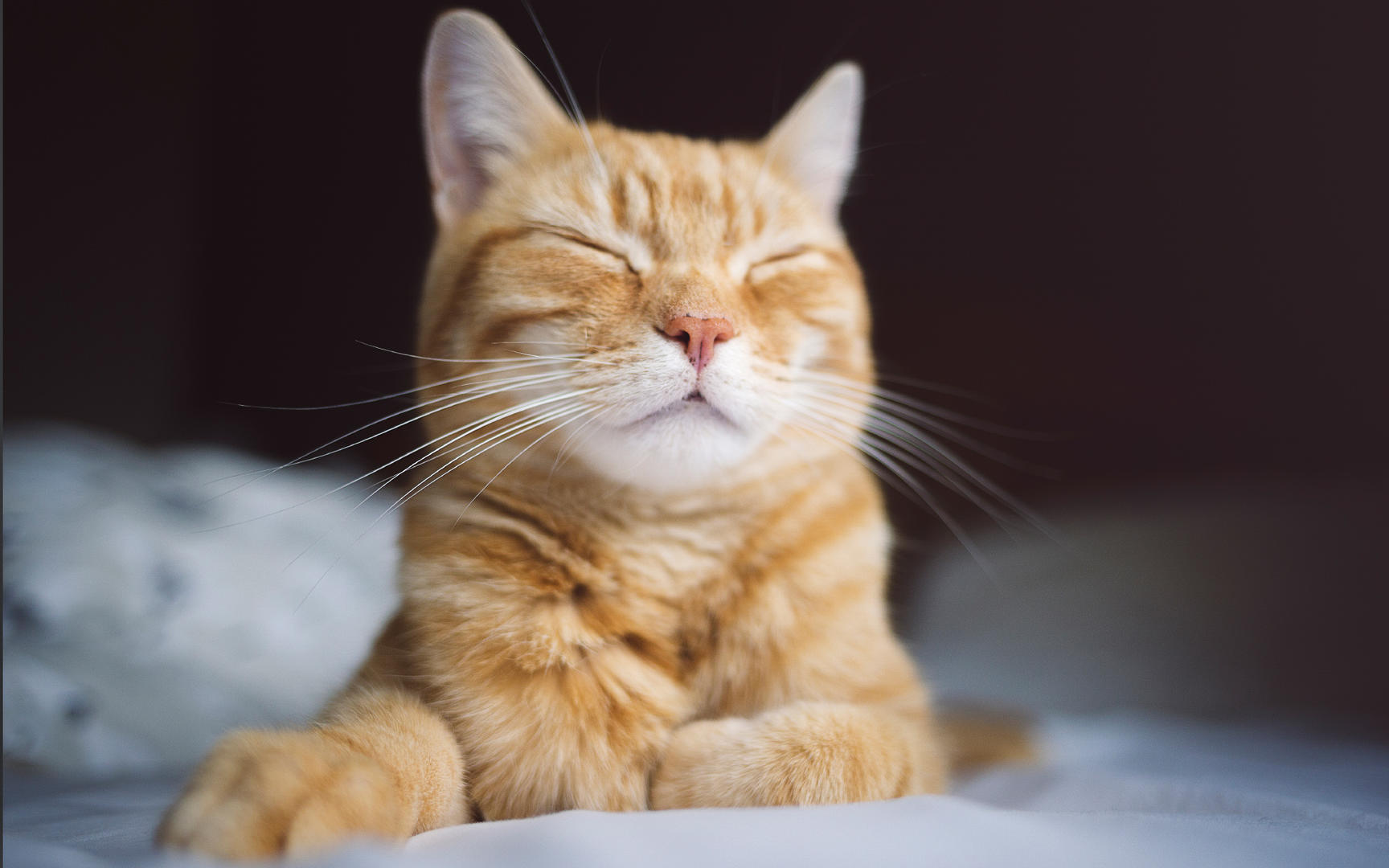 Ad:  03_gettyimages_833785930_resized.jpg
Gsterim: 385
Boyut:  124.0 KB