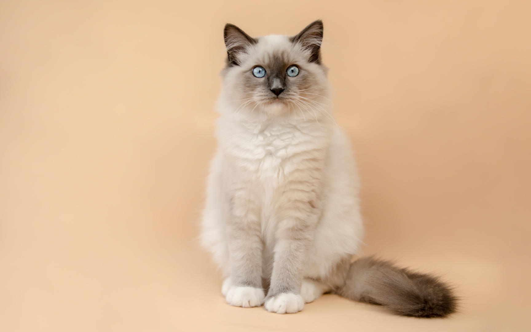 Ad:  15_gettyimages_858522916_resized.jpg
Gsterim: 366
Boyut:  73.6 KB