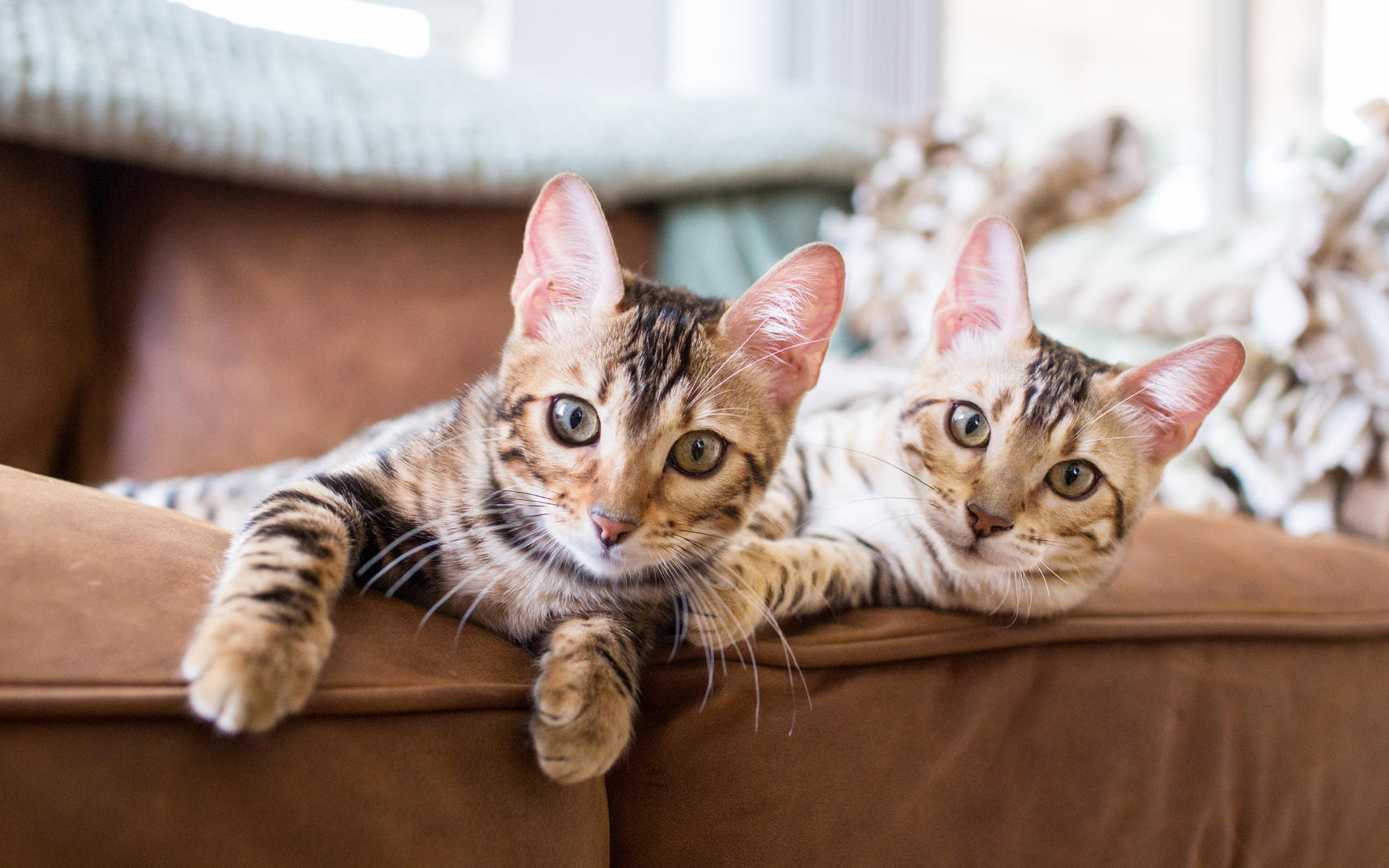 Ad:  05_gettyimages_531647499_resized.jpg
Gsterim: 602
Boyut:  210.7 KB