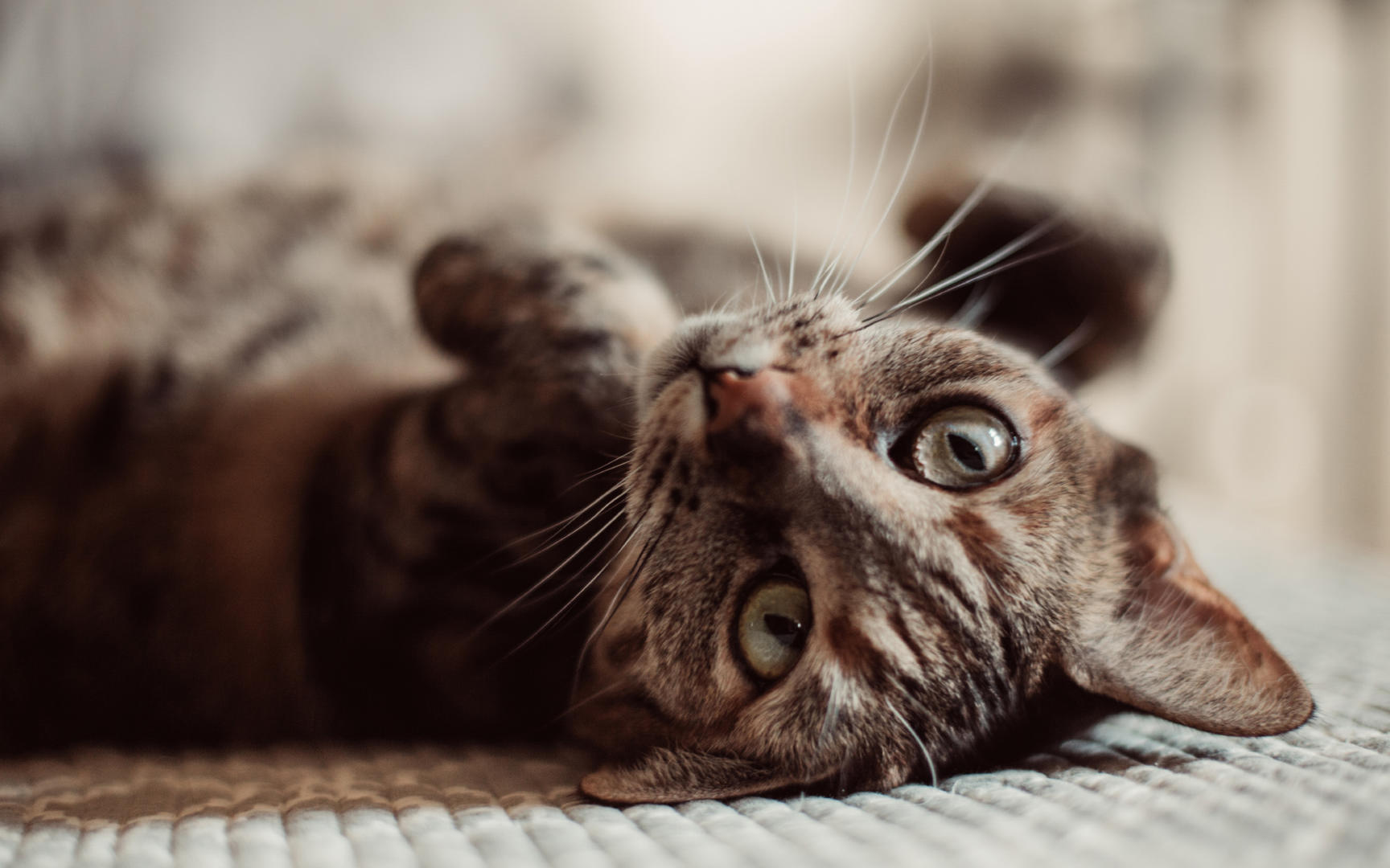 Ad:  07_gettyimages_670661516_resized.jpg
Gsterim: 987
Boyut:  143.3 KB