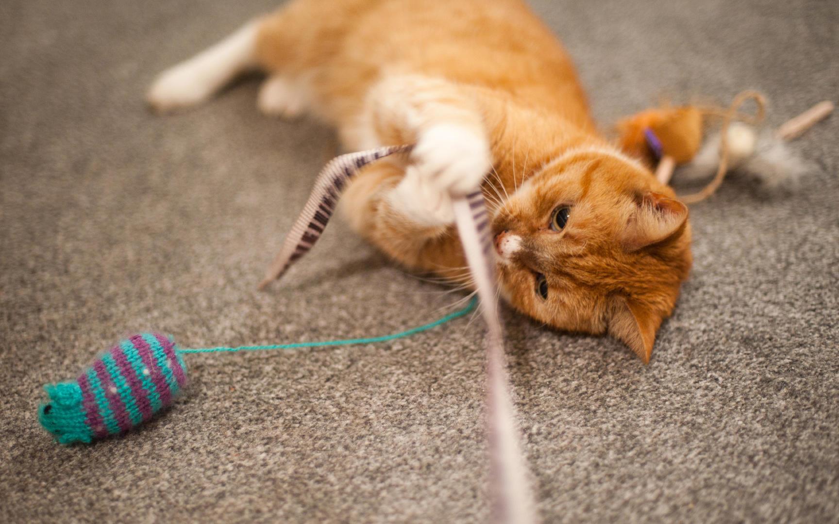 Ad:  06_gettyimages_628829142_resized.jpg
Gsterim: 287
Boyut:  244.5 KB