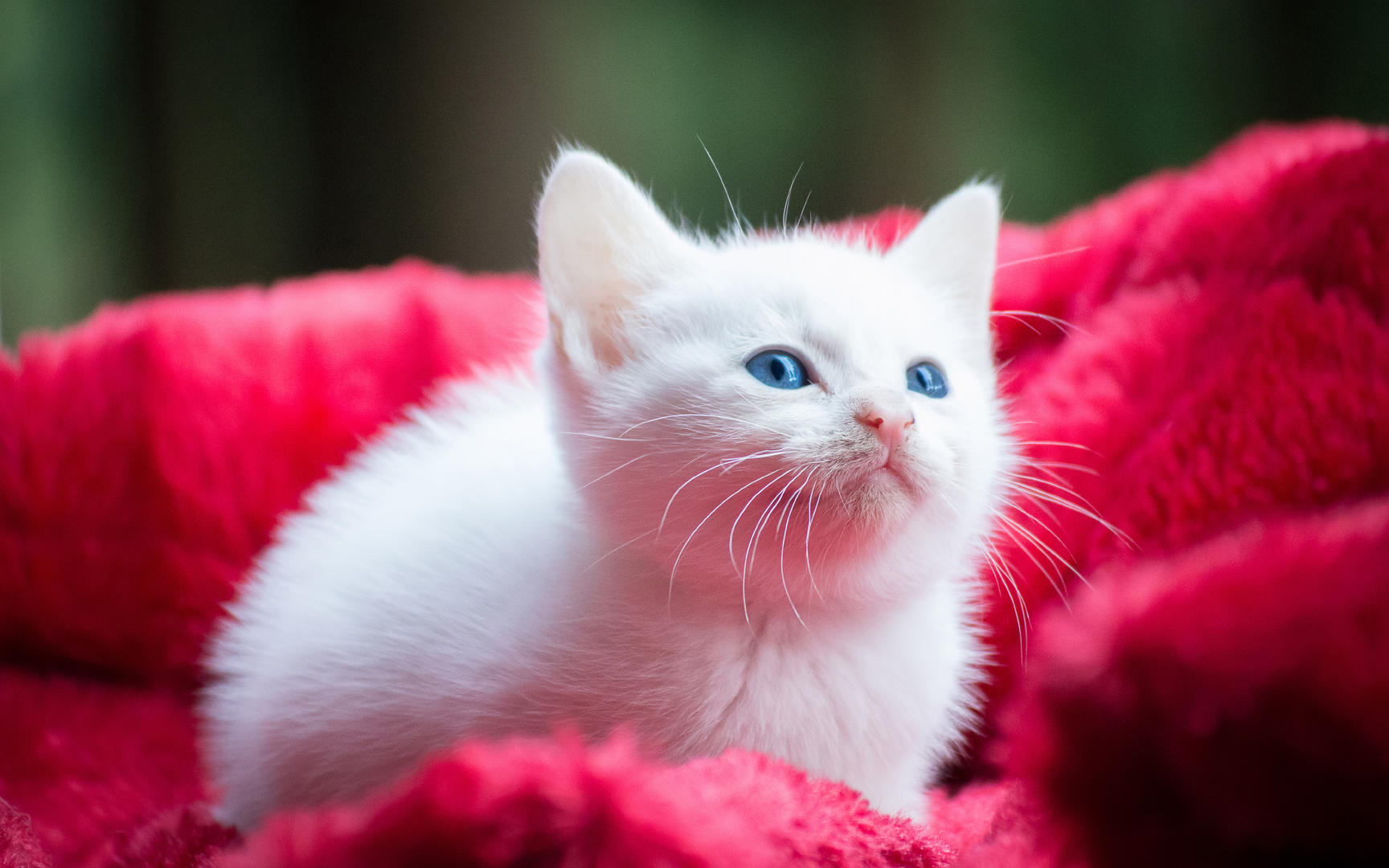 Ad:  02_gettyimages_717358853_resized.jpg
Gsterim: 432
Boyut:  159.9 KB