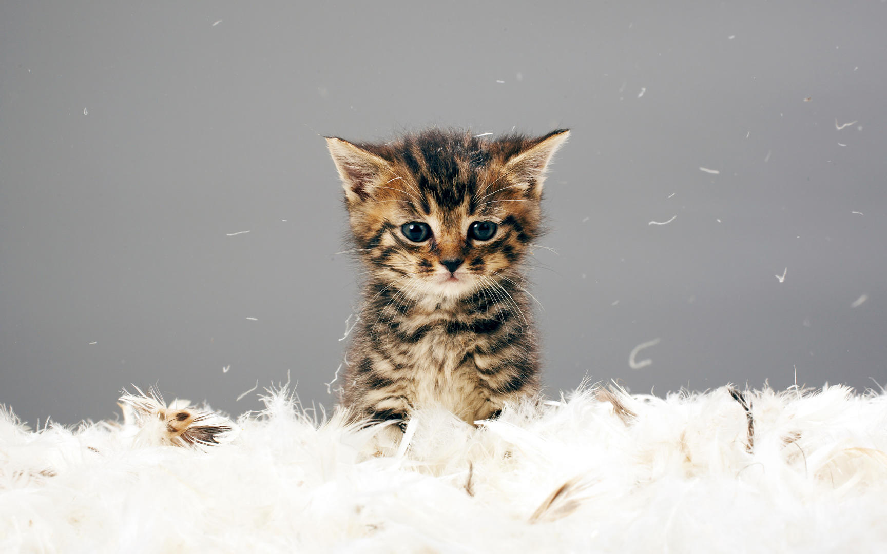 Ad:  09_gettyimages_83454811_resized.jpg
Gsterim: 306
Boyut:  138.3 KB