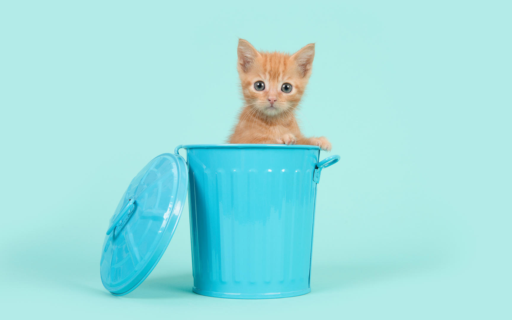 Ad:  16_gettyimages_907974216_resized.jpg
Gsterim: 335
Boyut:  83.0 KB