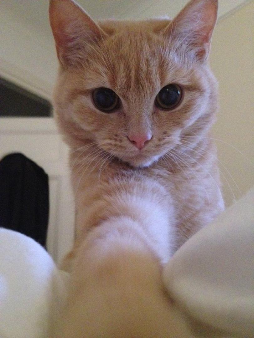 Ad:  5e52d2dd05fe5d5573d1772084320c42.jpg
Gsterim: 459
Boyut:  91.2 KB