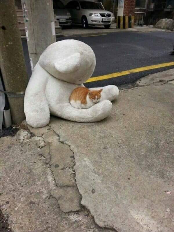 Ad:  14907215_1802385946715901_4586389255877220316_n.jpg
Gsterim: 318
Boyut:  52.5 KB